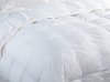 HCDC7525KG Clearance King Down and Feather Comforter