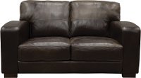 Casual Contemporary Brown Leather Loveseat - Aspen