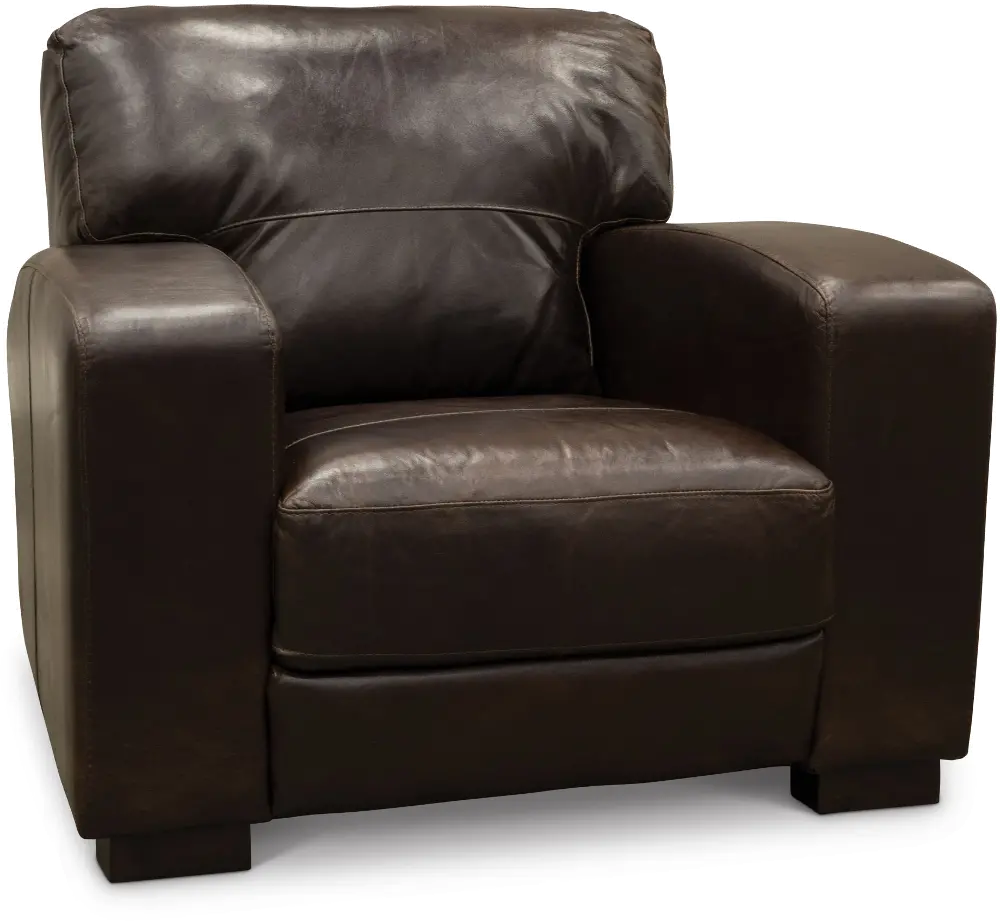 Casual Contemporary Brown Leather Chair - Aspen-1