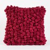 Red Chamois 18 Inch Throw Pillow