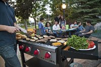 FTG600 Flat Top Grill-2