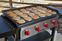 FTG600 Flat Top Grill-4