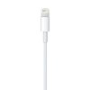 MD818AM/A 3' Apple Lightning to USB Cable-2
