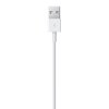 MD818AM/A Apple Lightning to USB Cable-3
