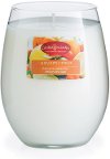 CMD1240/SGRCTRS/16OZ Sugared Citrus 16oz Candle - Candle Warmers