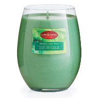CMD1980/WOODPN/16OZ Woodland Pine 16oz Candle - Candle Warmers