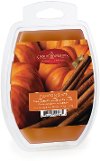 7740/MELT/4OZ Pumpkin Spice 4oz Wax Melt - Candle Warmers