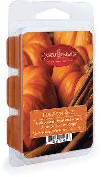 Pumpkin Spice 2.5oz Wax Melt - Candle Warmers