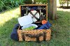26008 Blue Corduroy Picnic Basket for 2 - Willow
