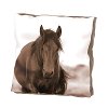 Multi Color 20 Inch Horse Throw Pillow-2
