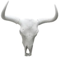 Resin Bison Skull Wall Decor