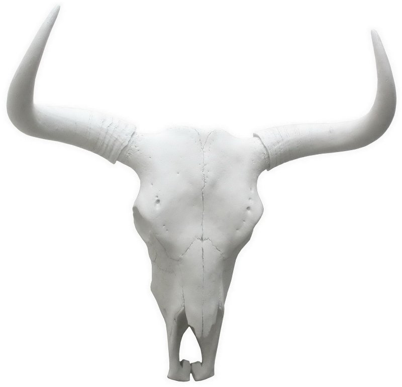 Resin Bison Skull Wall Decor Resin Bison Skull Wall Decor