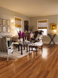 Hickory, Walnut, Maple, Visuals Mannington Revolutions Laminate Flooring-DISCONTINUED