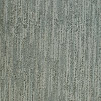 Dixie Stainmaster Westmere Carpet