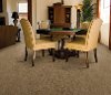 Dixie Stainmaster Westmere Carpet-2