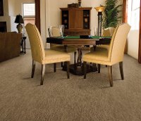 Dixie Stainmaster Westmere Carpet-2