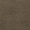 Dixie Grand Hotel Carpet-1