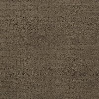 Dixie Grand Hotel Carpet