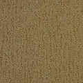 BRE.DELOACH Dixie Deloach Carpet