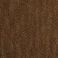 BRE.DELOACH Dixie Stainmaster Deloach Carpet