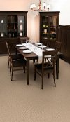 Dixie Stainmaster Deloach Carpet-2
