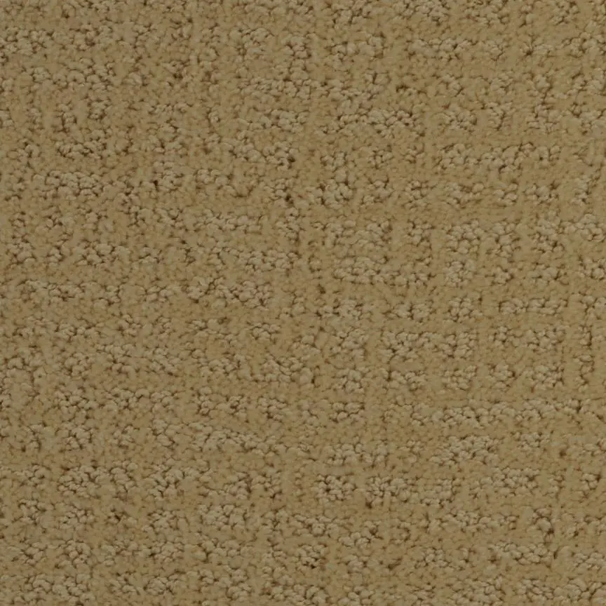 BRE.MACEO.MD Dixie Maceo Carpet-1