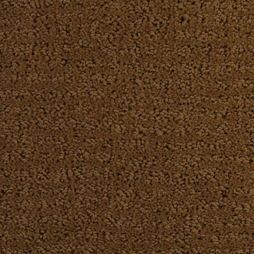 BRE.MACEO.MD Dixie Maceo Carpet-2