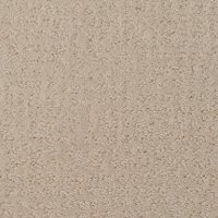 BRE.MACEO Dixie Stainmaster Maceo Carpet
