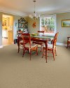 Dixie Stainmaster Maceo Carpet-2