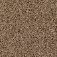Karastan Wish Come True Carpet