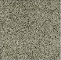 Mohawk Serene Forest Carpet