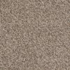 Shaw My Wish Carpet