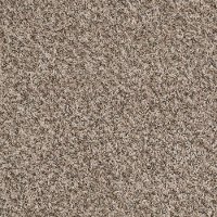 Shaw My Wish Carpet