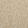 Masland Stainmaster Rest Assured Carpet-1