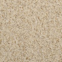 Masland Stainmaster Rest Assured Carpet