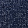 BRE.SWEET.SOLACE Dixie Stainmaster Sweet Colace Carpet