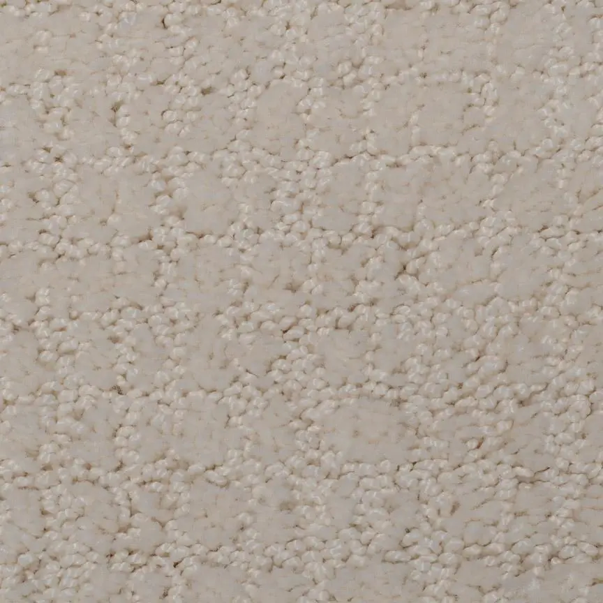 BRE.SWEET.SOLACE Dixie Sweet Colace Carpet-1