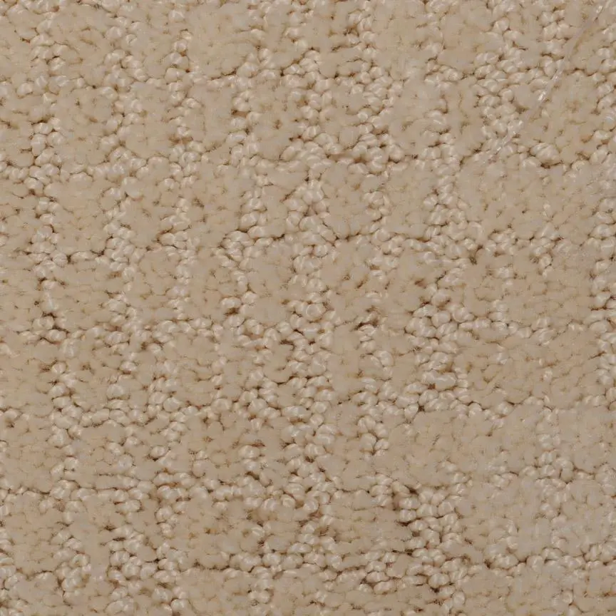 BRE.SWEET.SOLACE Dixie Sweet Colace Carpet-2