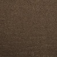 Dixie Stainmaster Cantata Carpet