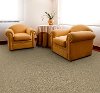 Dixie Stainmaster Cantata Carpet-2