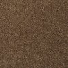 Masland Stainmaster Dream Seeker Carpet