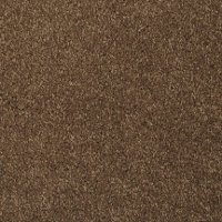 Masland Stainmaster Dream Seeker Carpet