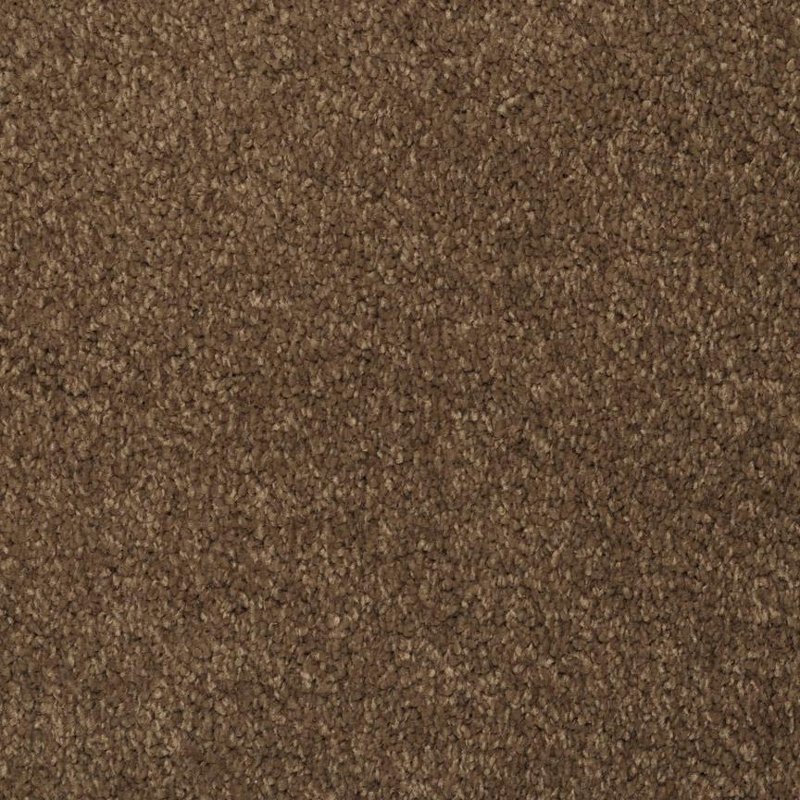 Masland Stainmaster Dream Seeker Carpet Rc Willey Furniture