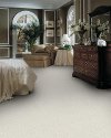 Masland Stainmaster Dream Seeker Carpet-2