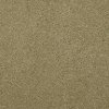 Masland Stainmaster Indulgence Carpet