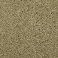 Masland Stainmaster Indulgence Carpet