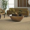 Mohawk Mango Coast Carpet-2