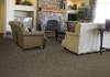 Phenix Alpine Lake Carpet-2