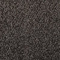 MSL.GRANIQUE Masland Stainmaster Granique Carpet