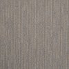 MSL.ARTISTIC.VISION Masland Stainmaster Artistic Vision Carpet